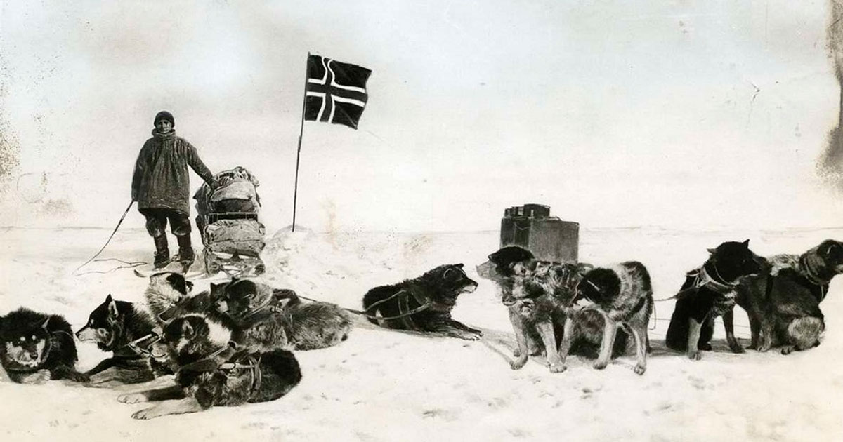 barato Útil Habitar Roald Amundsen y los héroes olvidados del Polo Sur