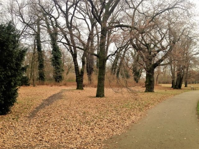 neuer-garten-en-invierno