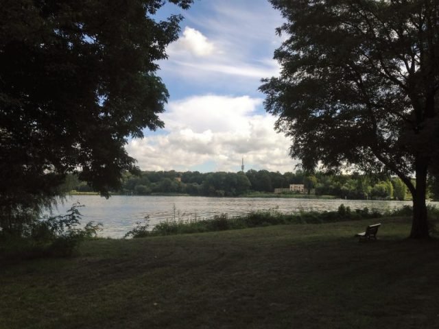 neuer-garten-en-verano