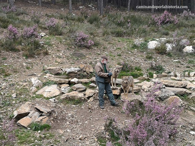 Carlos Sanz el biólogo del Centro, con dos de los ejemplares. 